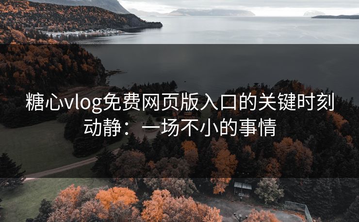 糖心vlog免费网页版入口的关键时刻动静:一场不小的事情