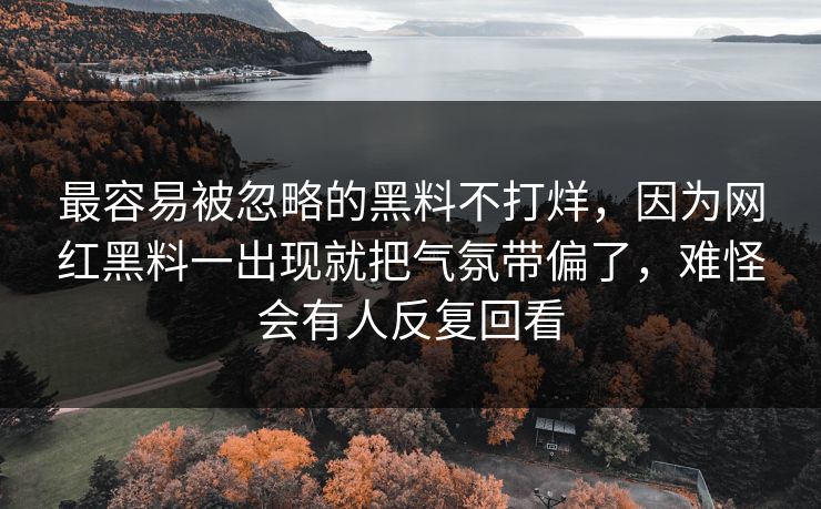 最容易被忽略的黑料不打烊,因为网红黑料一出现就把气氛带偏了,难怪会有人反复回看