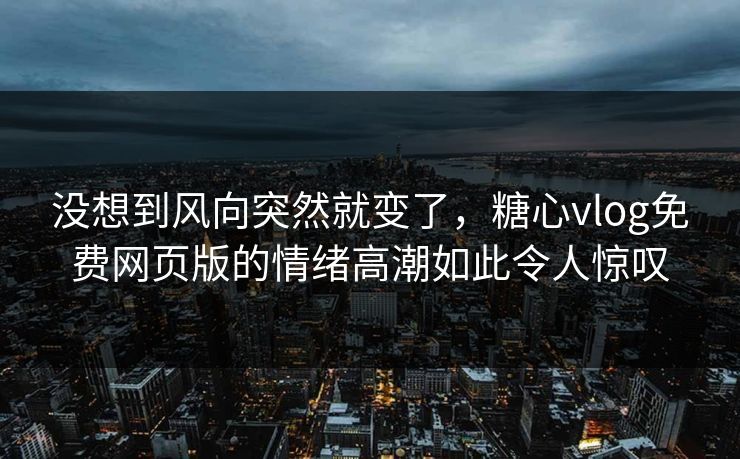 没想到风向突然就变了,糖心vlog免费网页版的情绪高潮如此令人惊叹