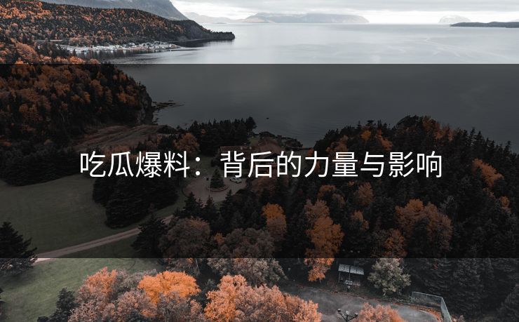 吃瓜爆料：背后的力量与影响
