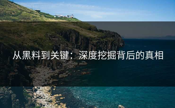 从黑料到关键:深度挖掘背后的真相