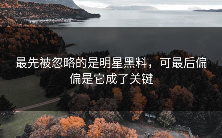 最先被忽略的是明星黑料，可最后偏偏是它成了关键