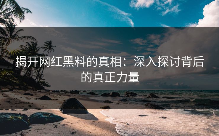 揭开网红黑料的真相:深入探讨背后的真正力量