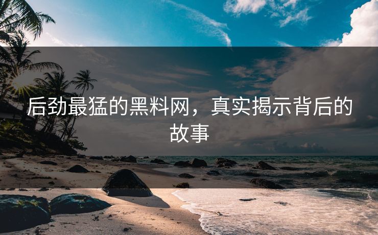 后劲最猛的黑料网,真实揭示背后的故事